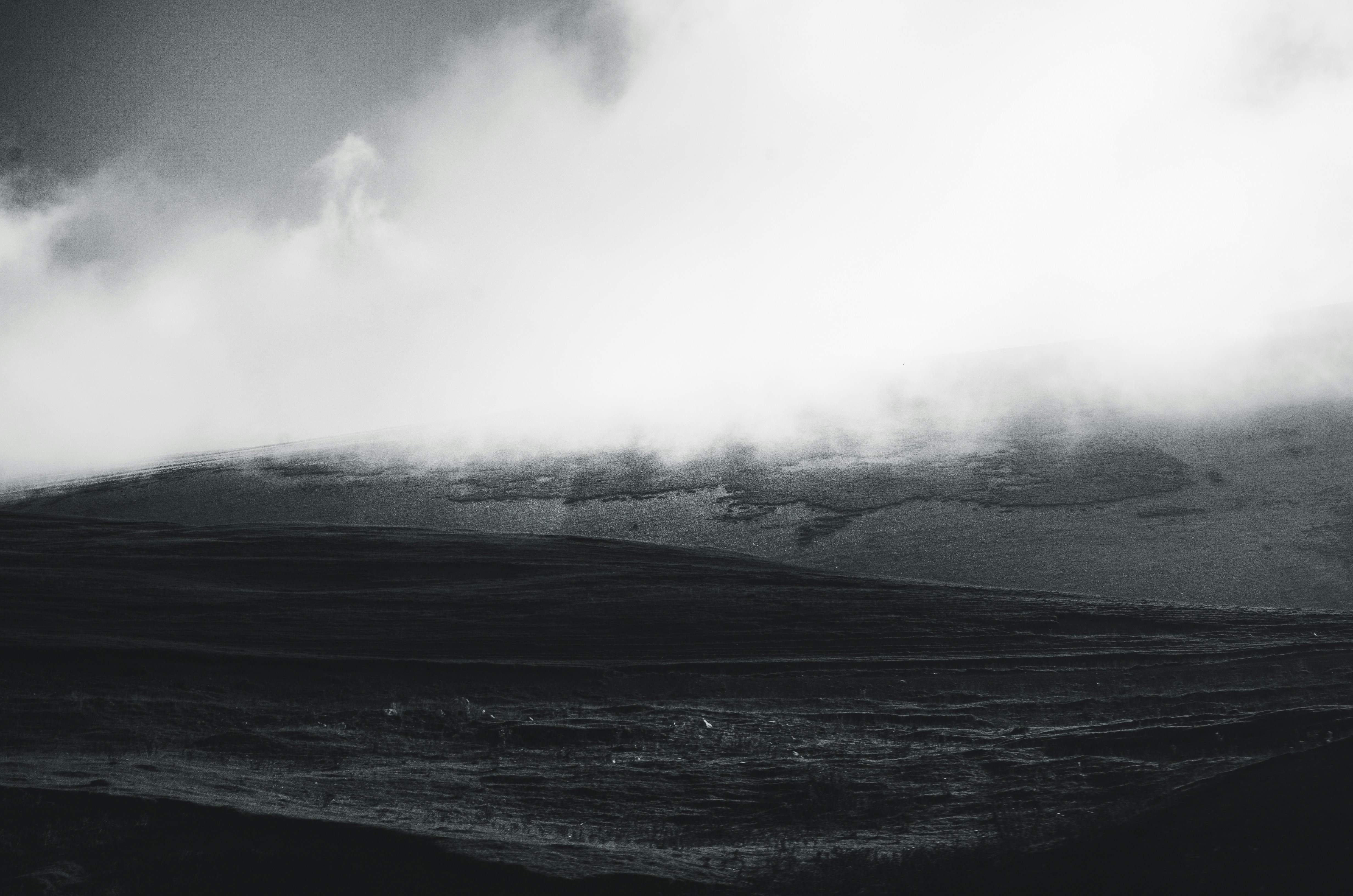 Photo by ahmadreza7shot