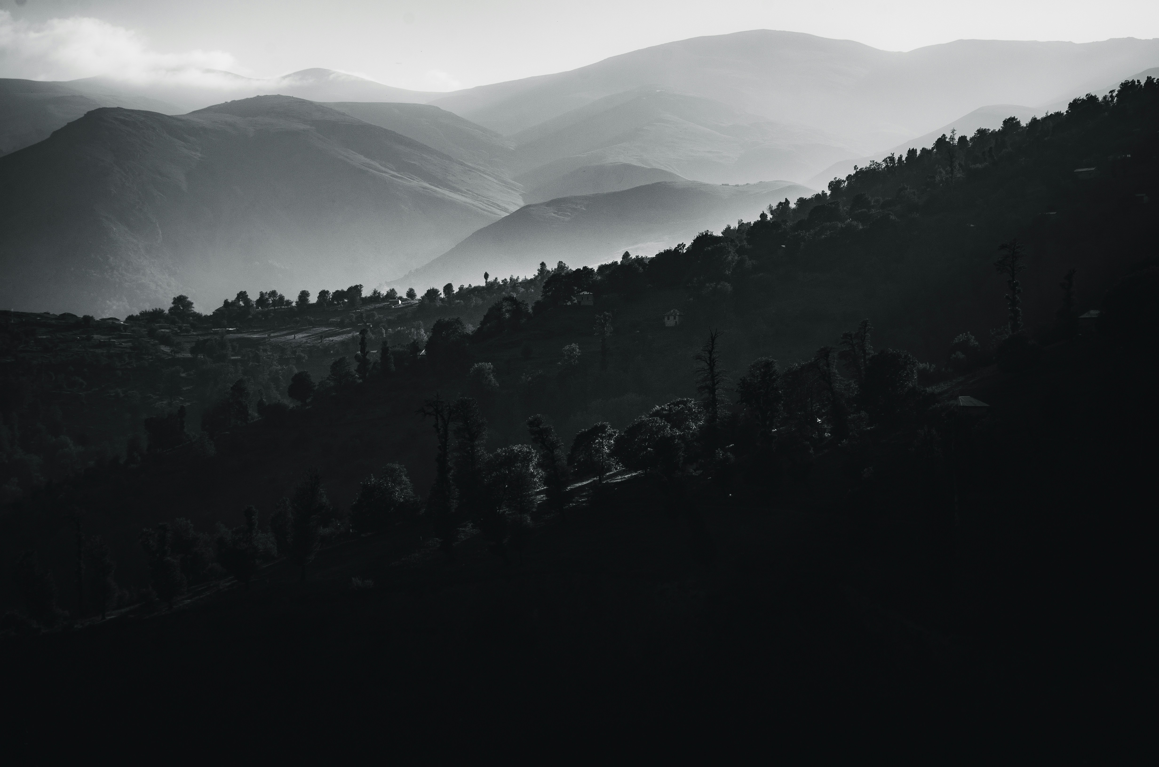 Photo by ahmadreza7shot