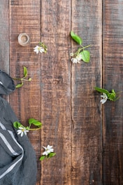 green plant on brown wooden surface