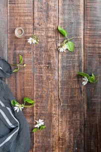 green plant on brown wooden surface