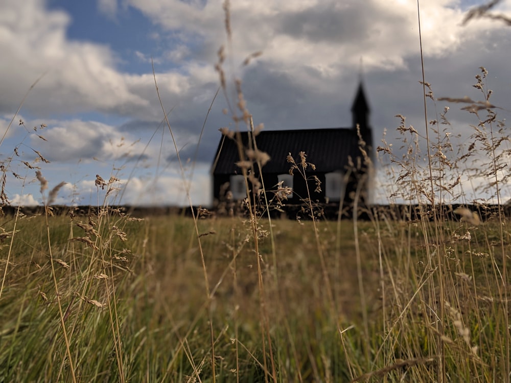 brown wooden house on green grass field under white clouds during daytime