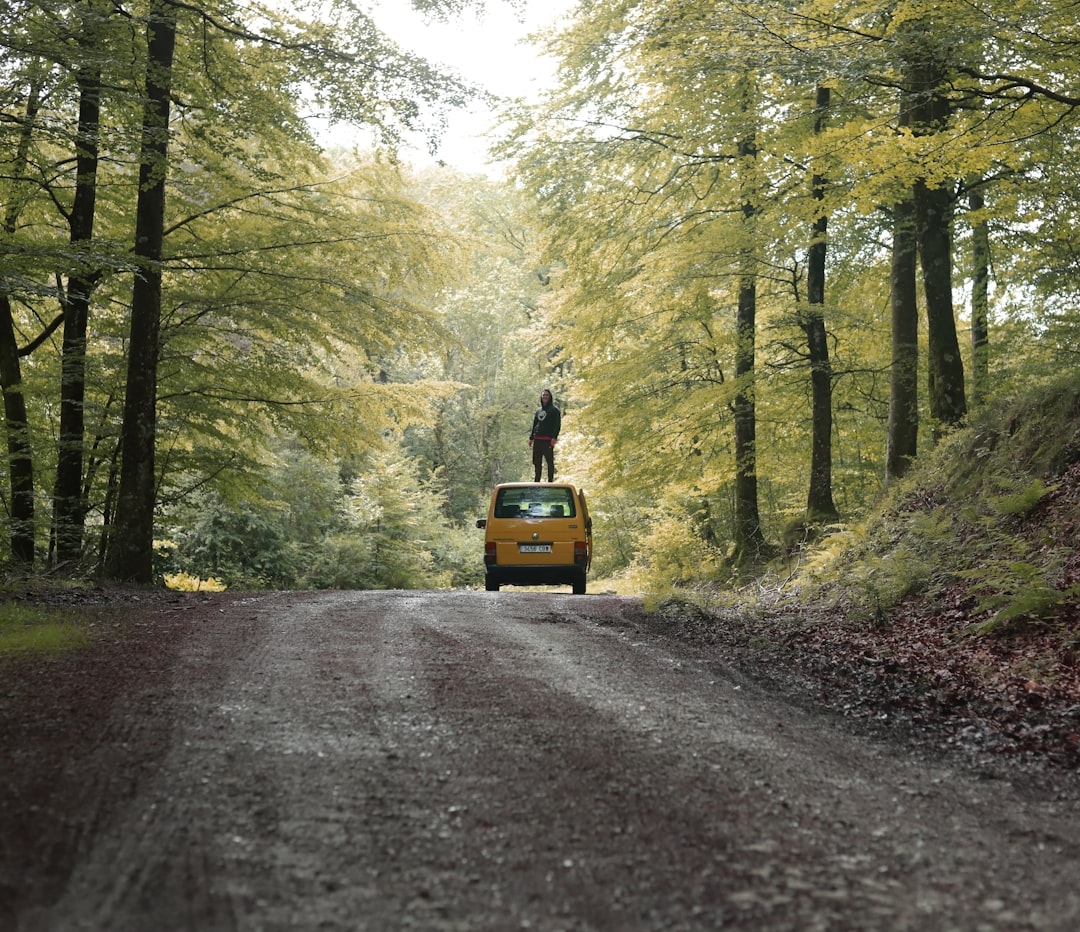 yellow car on road between trees during daytime