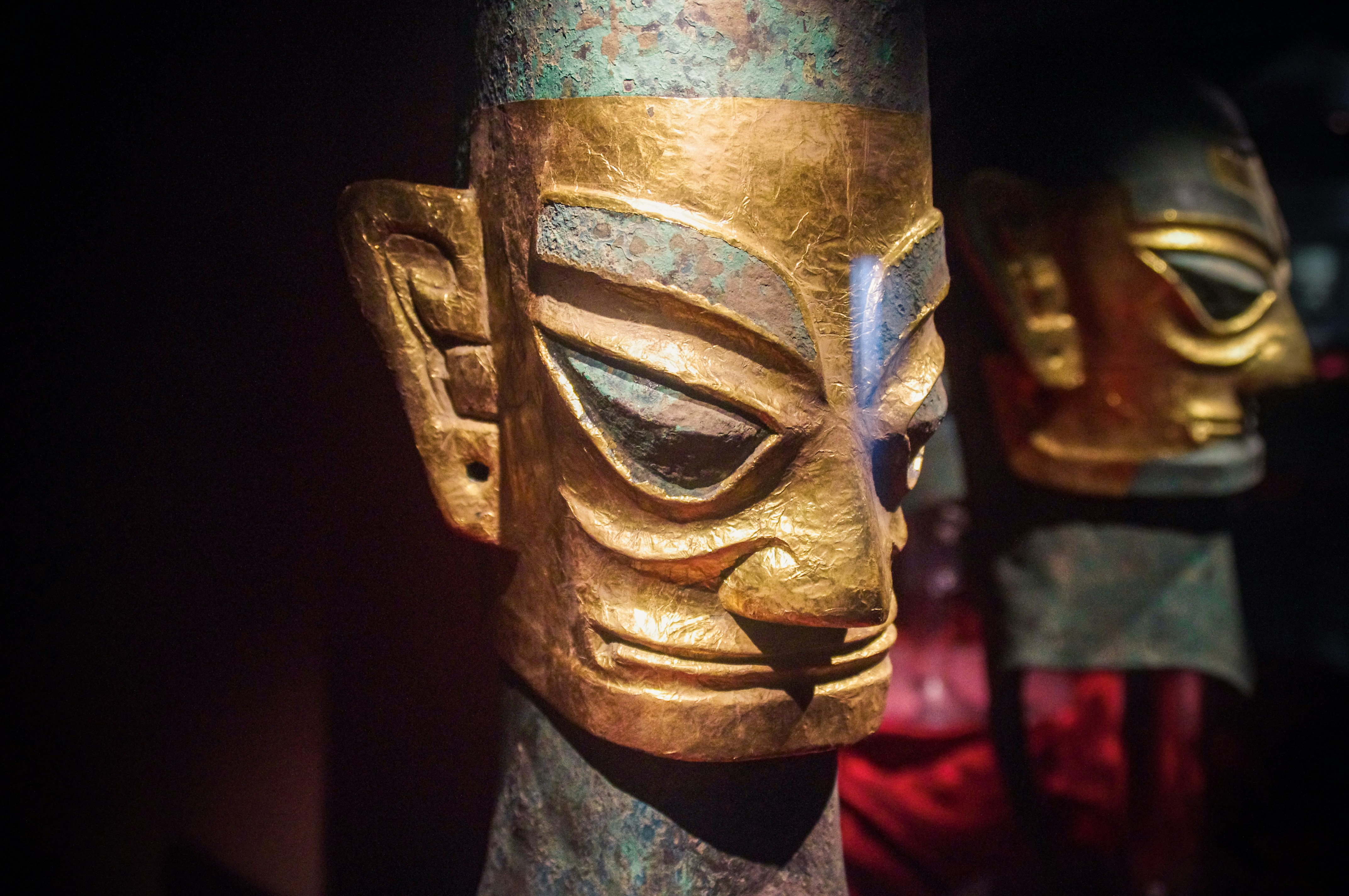 寵物界黑暗真相曝光！獸醫不敢說的秘密，你家毛孩正受苦！