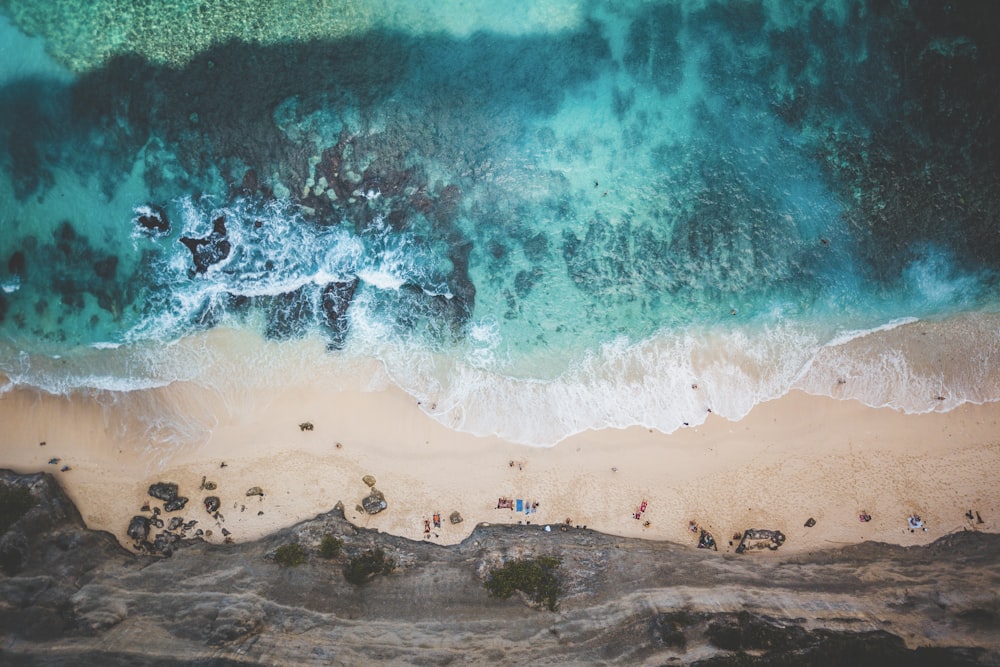 vista aérea de pessoas na praia durante o dia