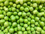 green round fruits in close up photography
