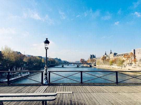 brown wooden dock near body of water during daytime in Pont des Arts France