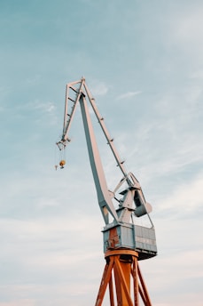 brown and white crane under cloudy sky during daytime