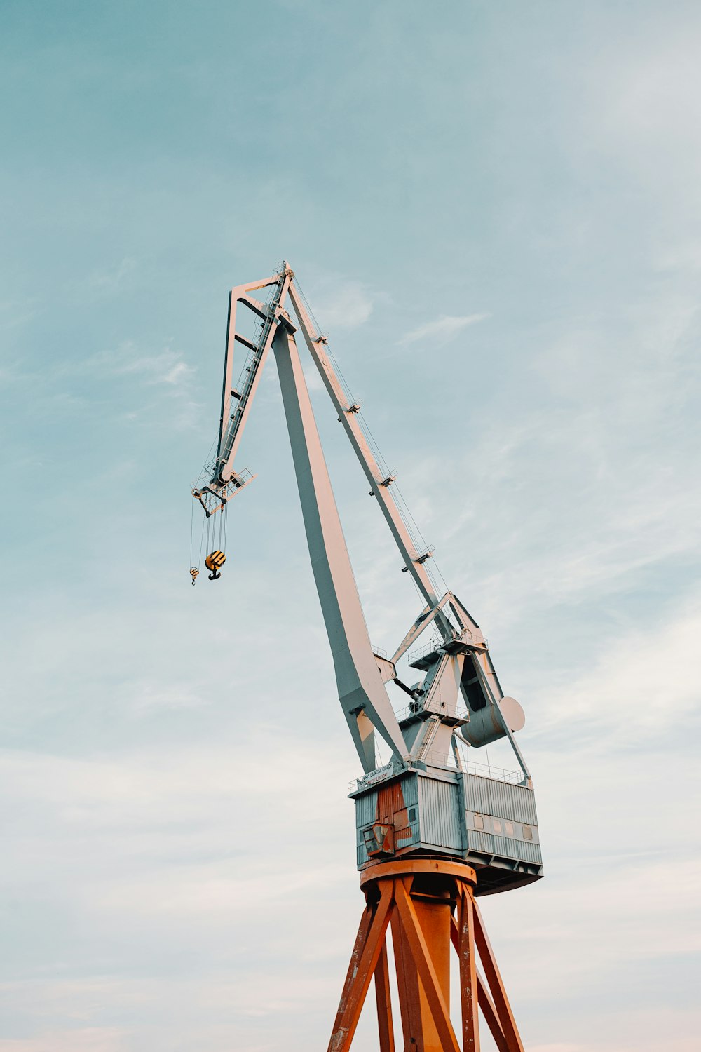 brown and white crane under cloudy sky during daytime