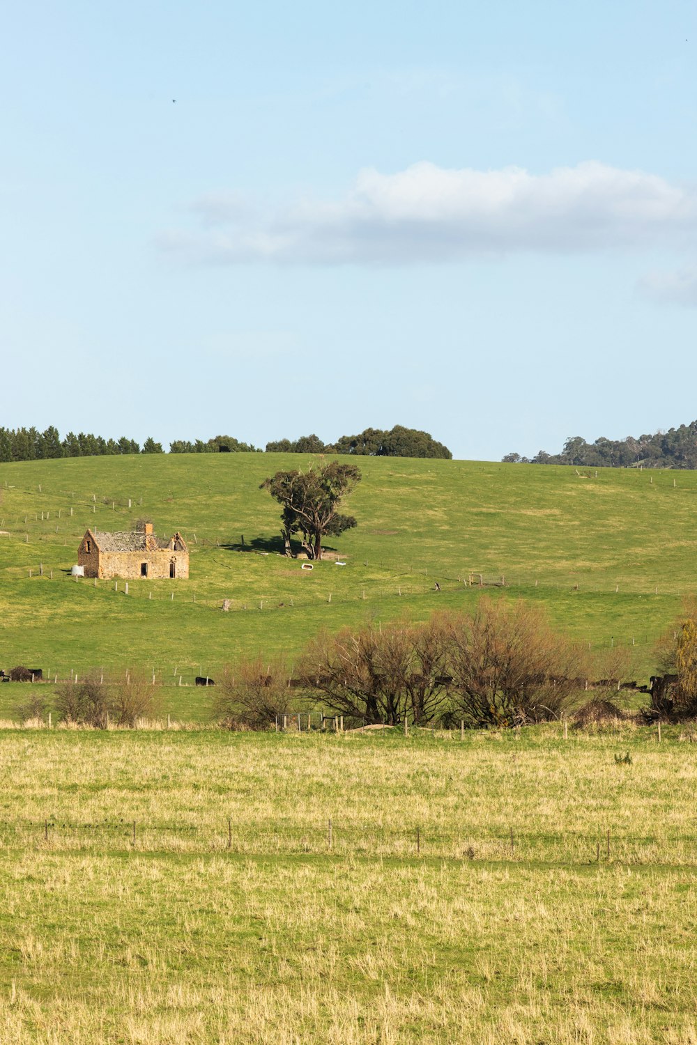 green grass field with trees and houses during daytime