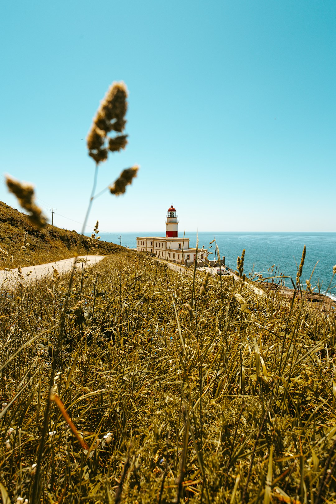 white and red lighthouse near body of water during daytime