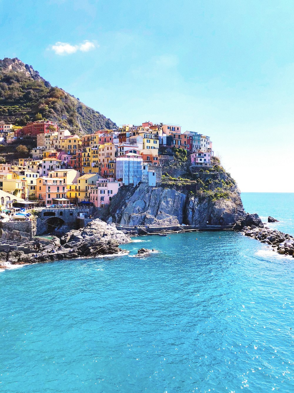 houses on mountain beside sea during daytime