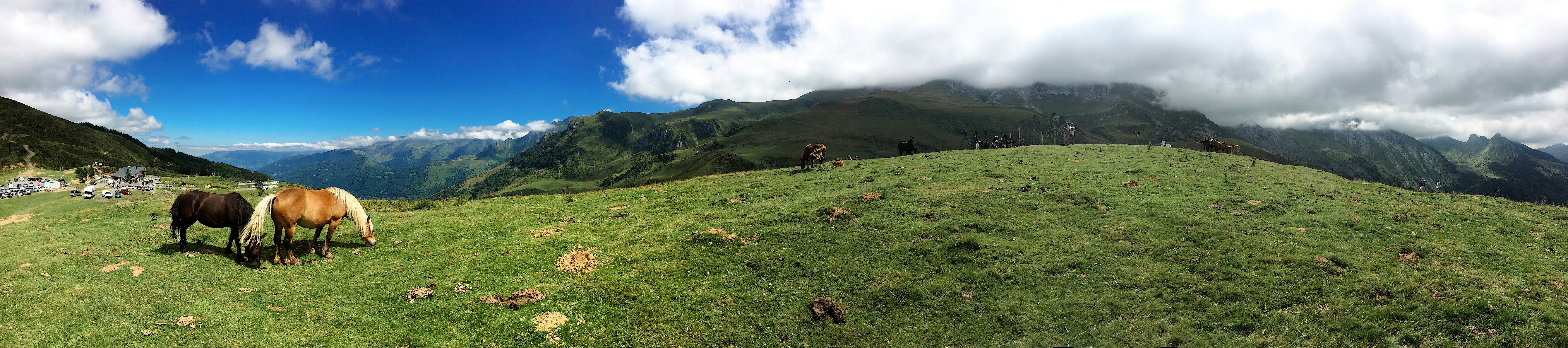 Photo by fauvedereyne