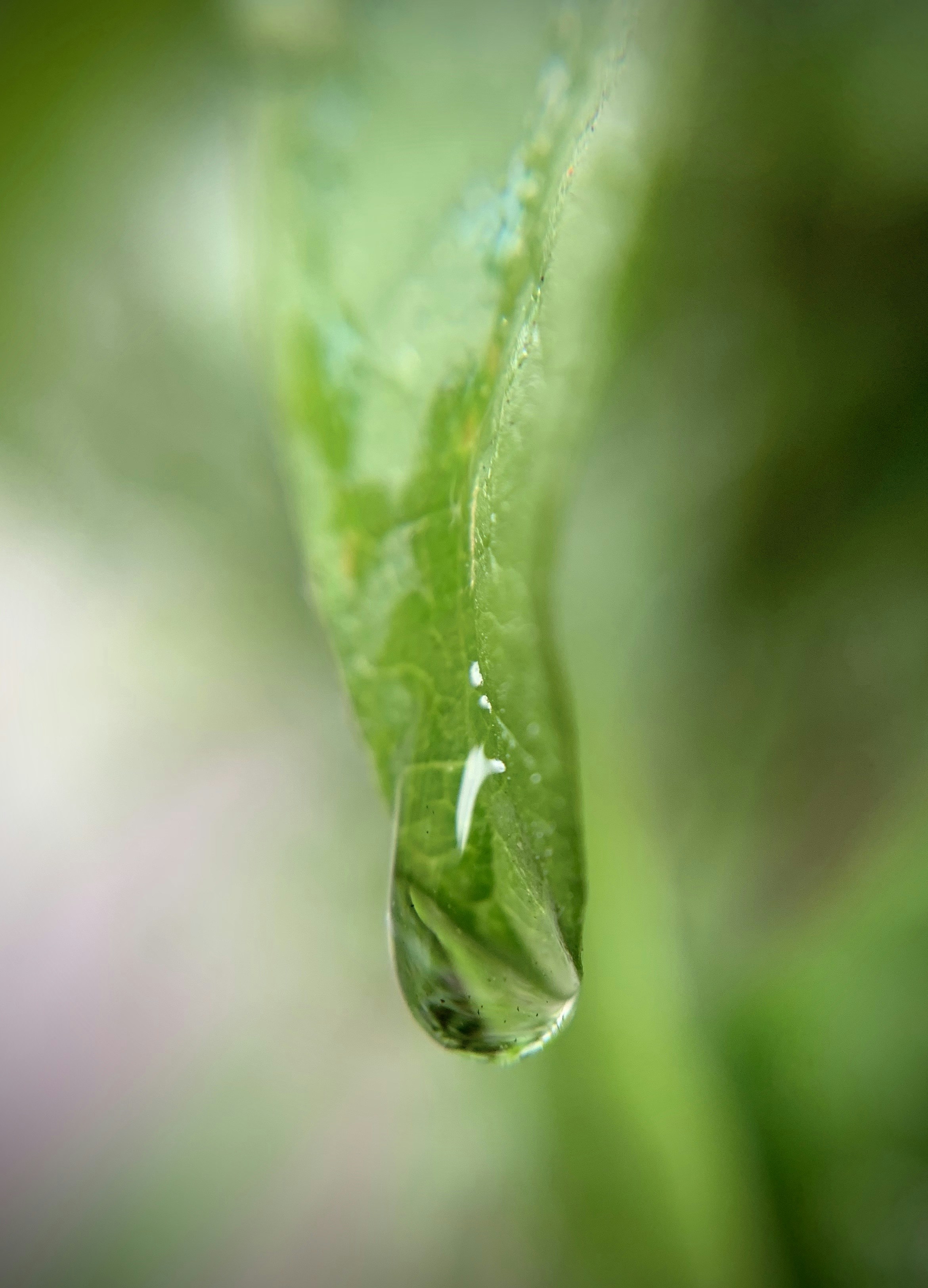 Photo by thomascateau