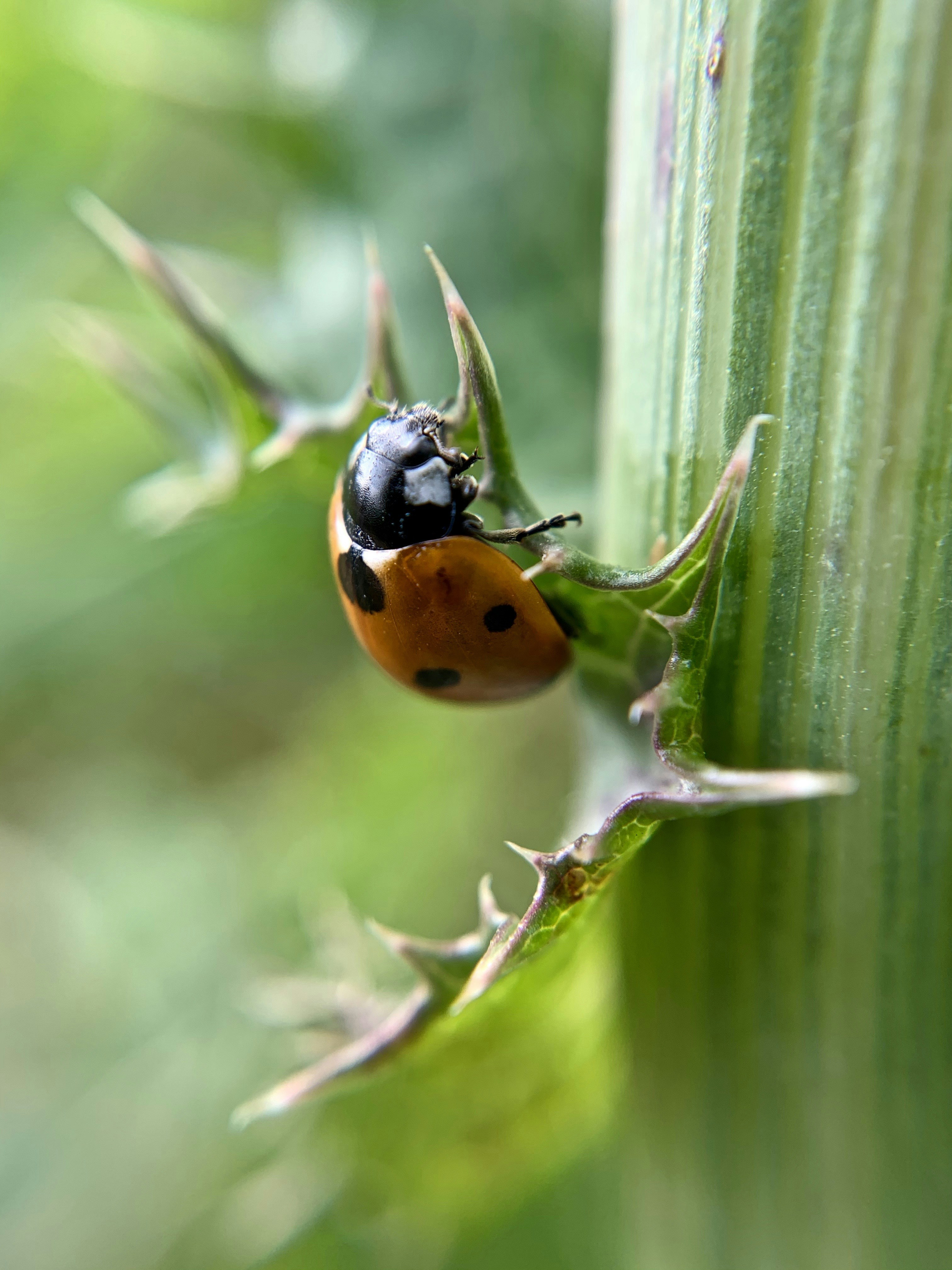 The Best Guide To Kozijnen - Alfa Totaalbouw
