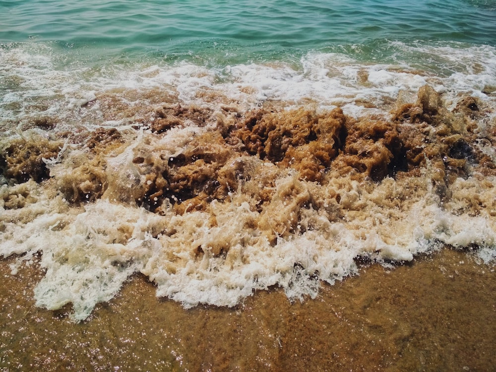 brown and white sea waves