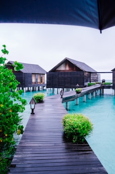 brown wooden house near swimming pool during daytime
