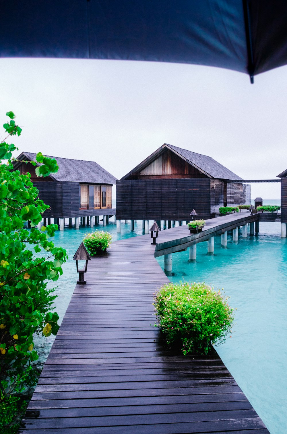 brown wooden house near swimming pool during daytime