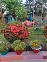A vibrant garden space with colorful plants and outdoor furniture.