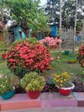 A beautiful residential garden with vibrant flowers and greenery.