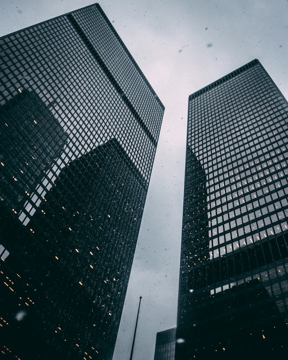 black and white glass building