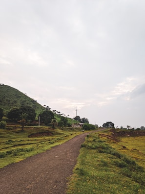 A newly constructed road winding through green fields and small homes.