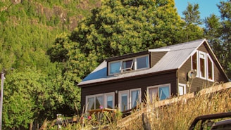 A cozy steel house surrounded by greenery.