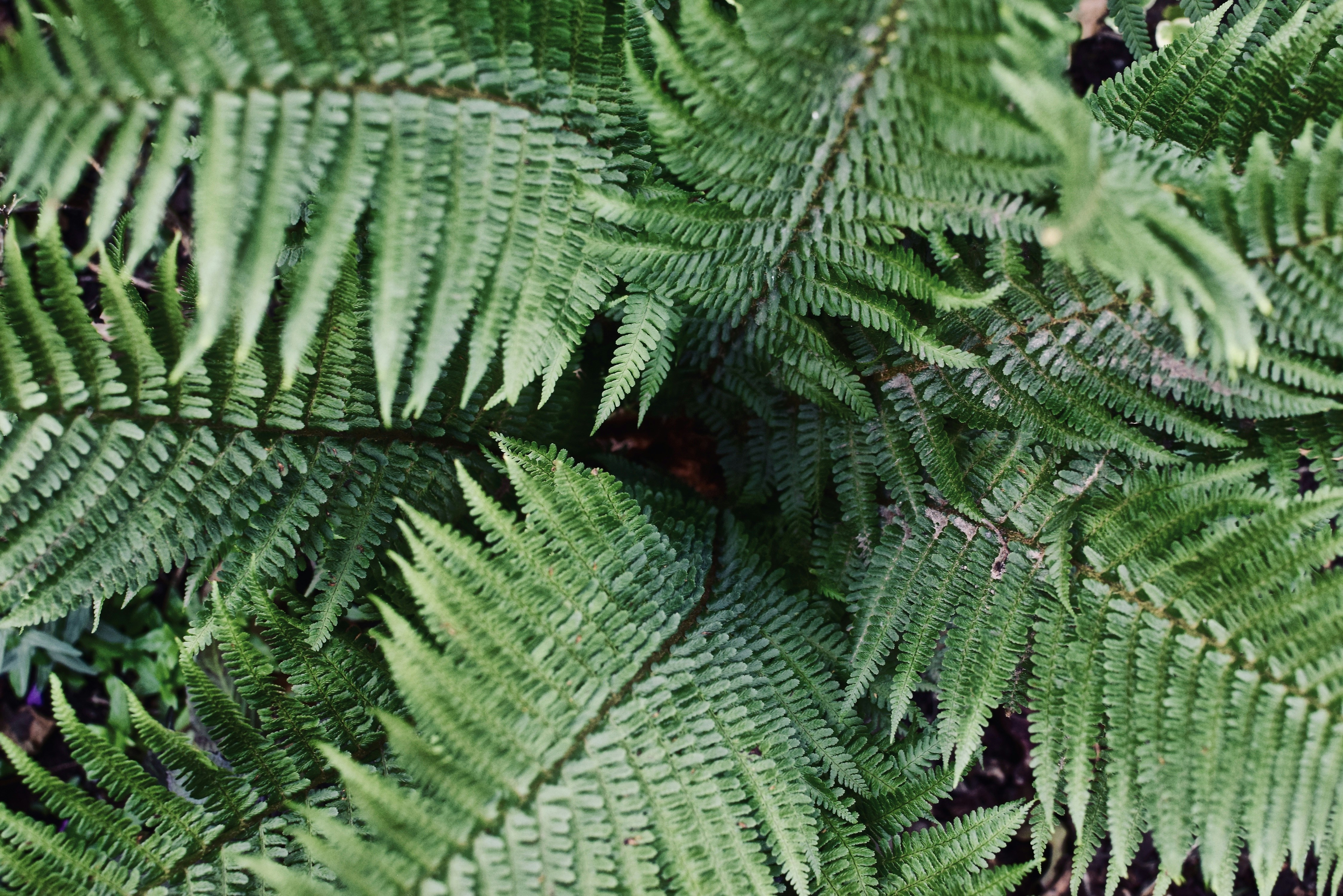 Photo by benjaminelliott