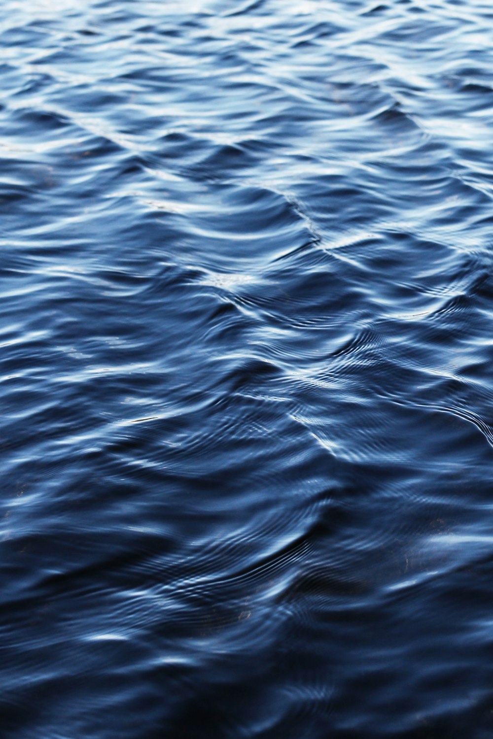 close up photo of body of water