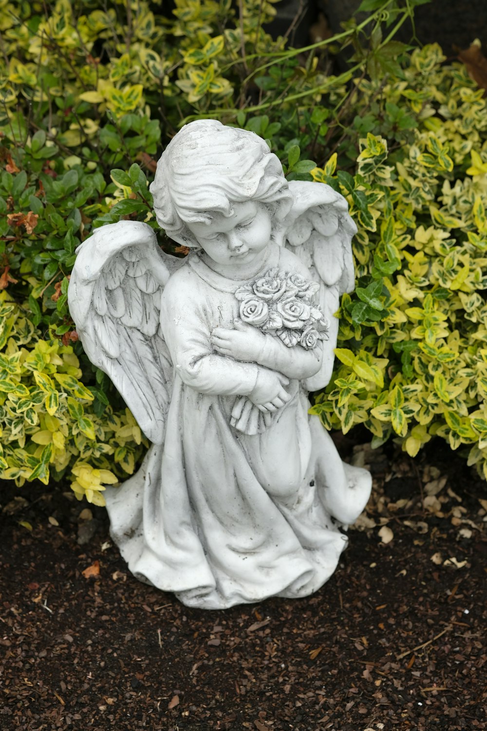 gray concrete angel statue near green plants