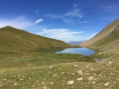 green grass field near lake under blue sky during daytime