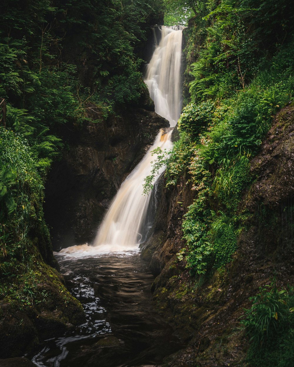 waterfalls in the middle of green grass field