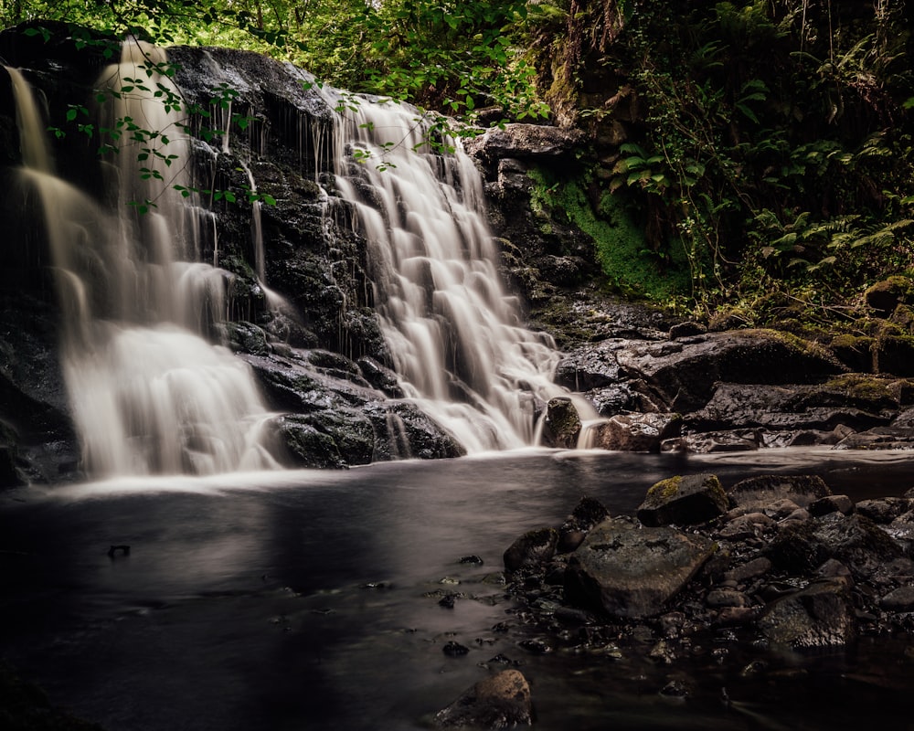 water falls in the middle of the forest