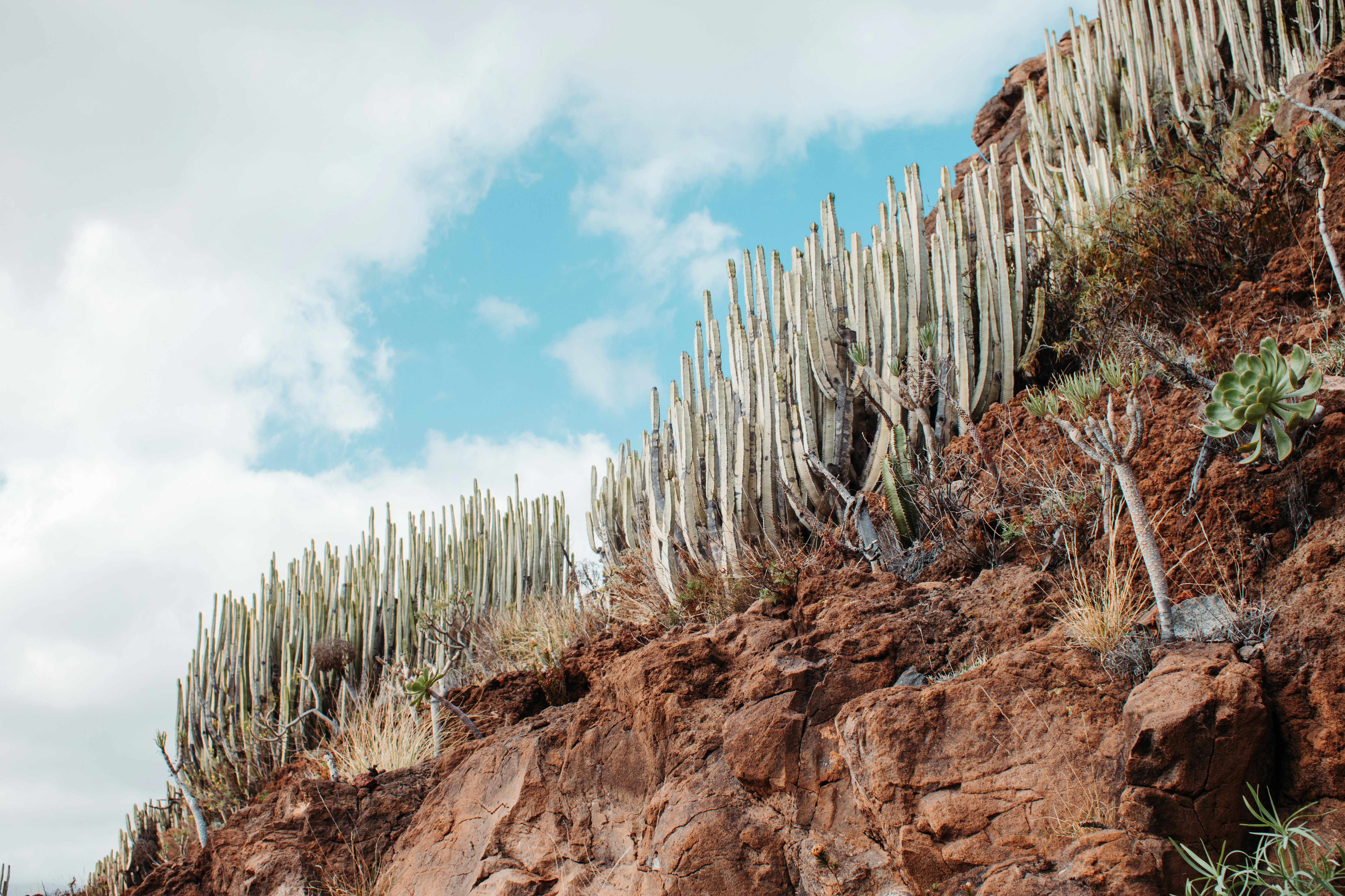 Photo by alexkurchev