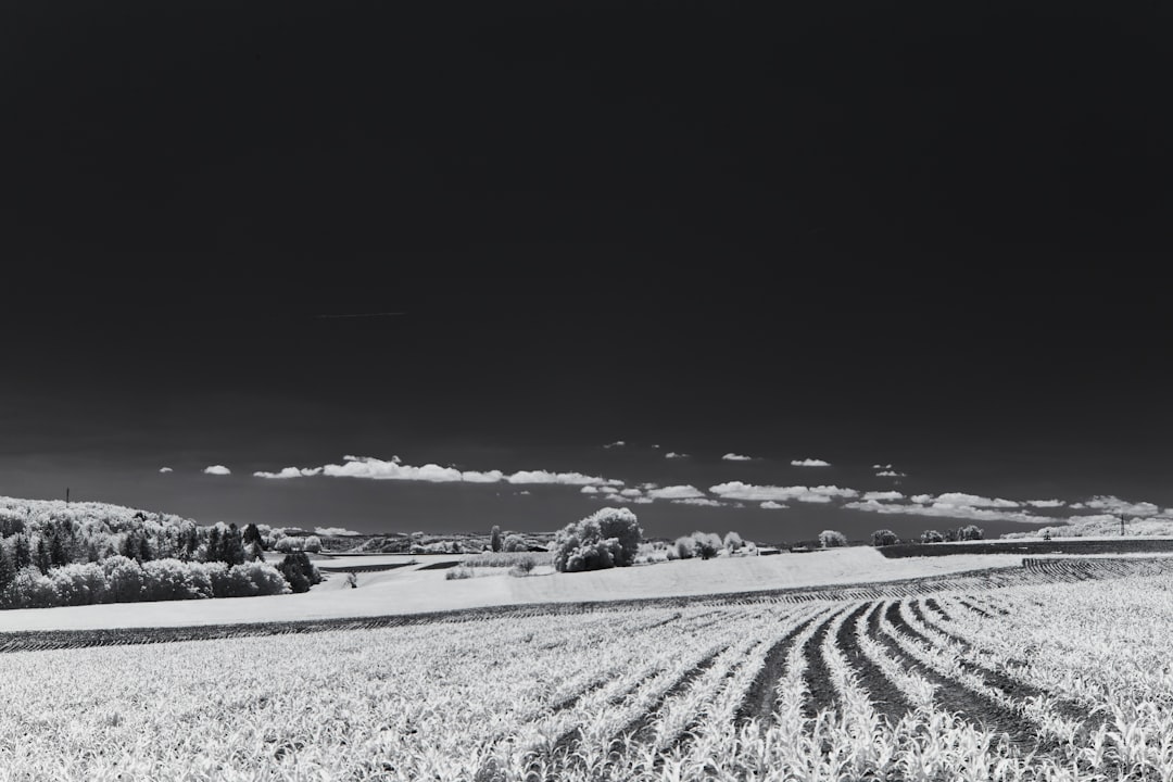 grayscale photo of snow covered field