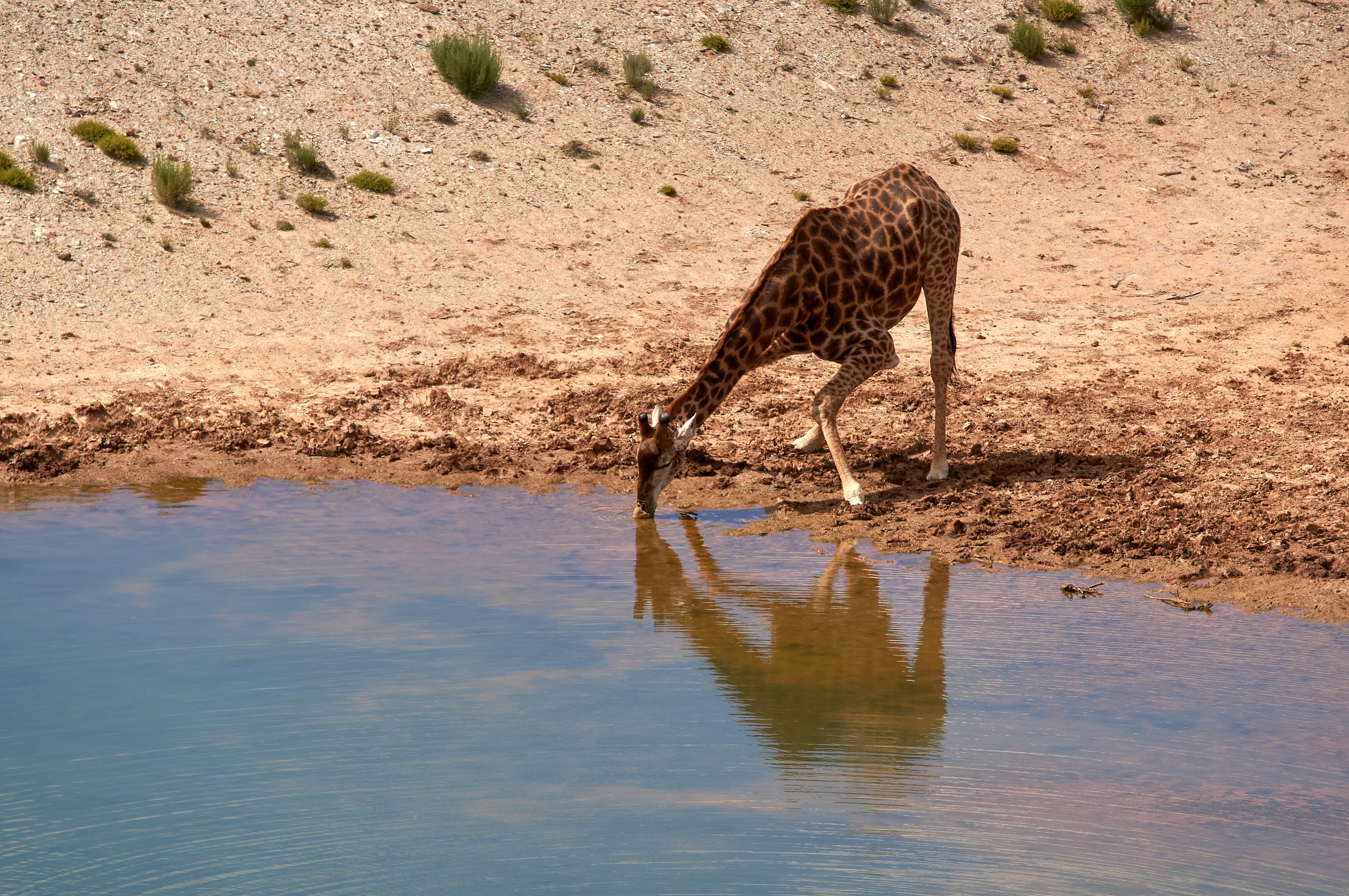 Photo by wolfgang_hasselmann