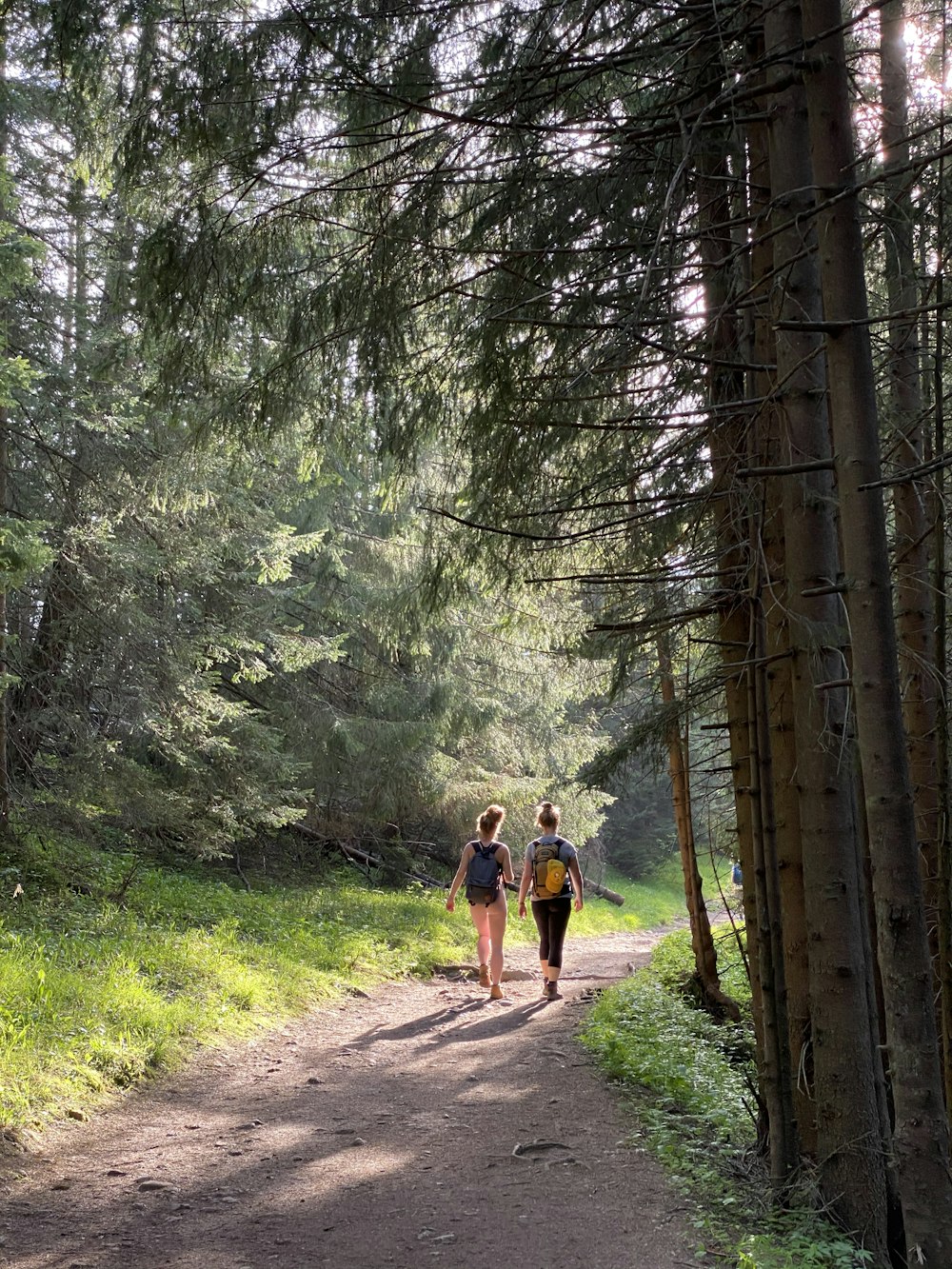 2 men walking on dirt road in the woods during daytime