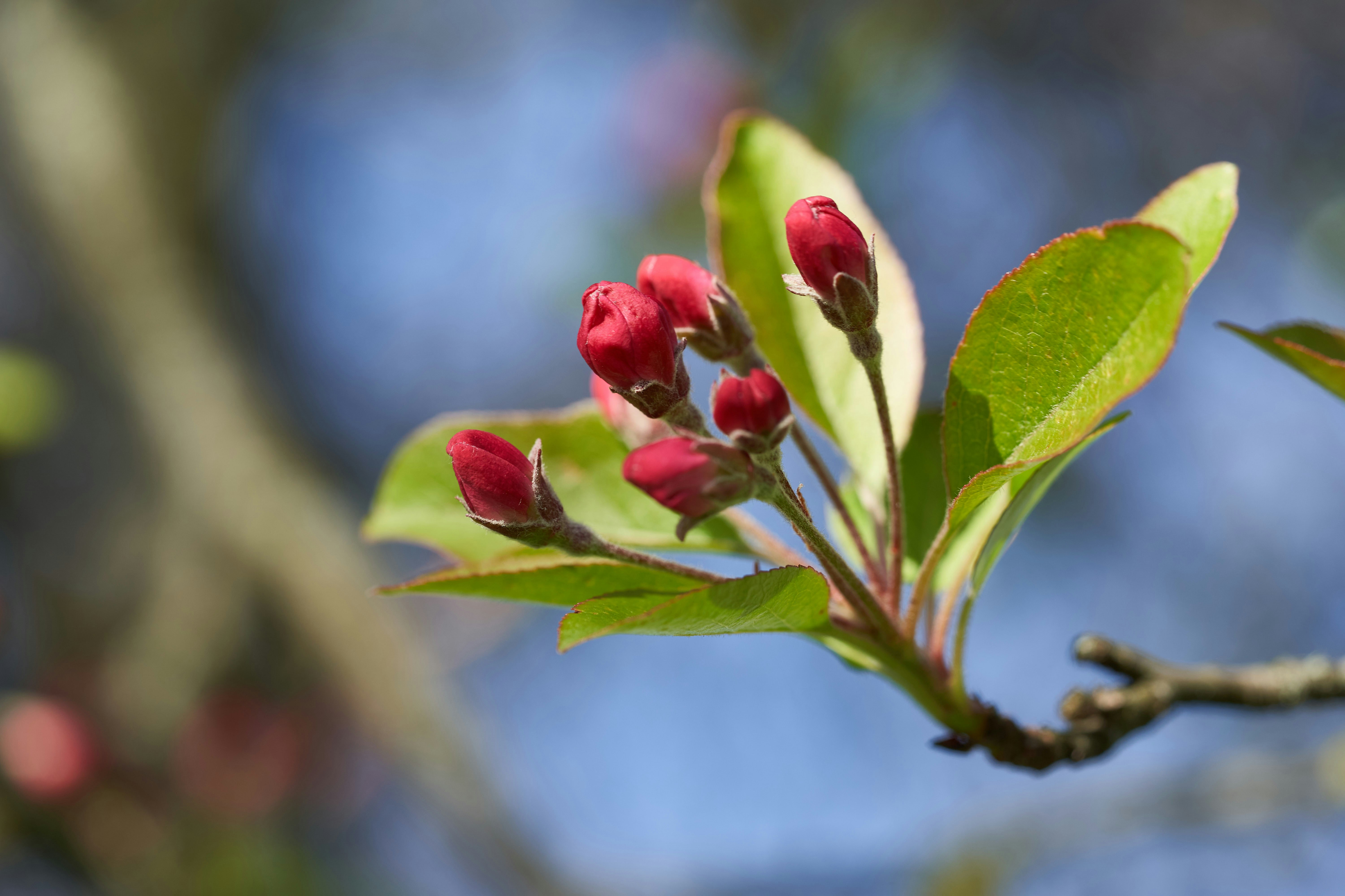 Photo by wolfgang_hasselmann