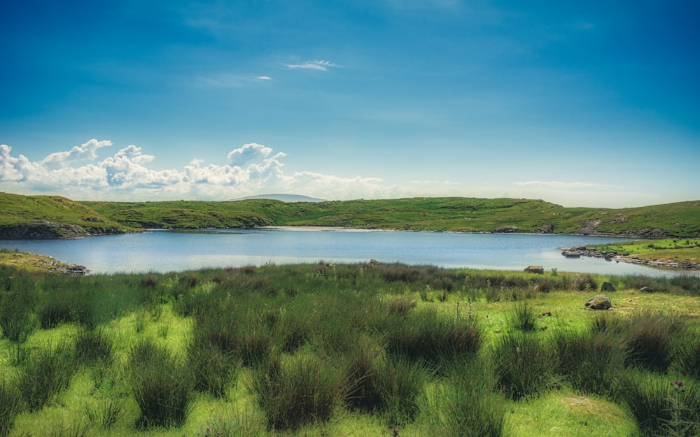 campo di erba verde vicino allo specchio d'acqua sotto il cielo blu durante il giorno