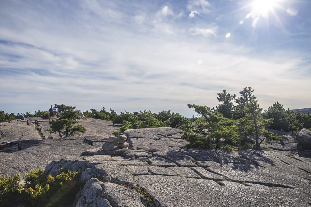 green trees on gray rocky mountain under blue and white sunny cloudy sky during daytime