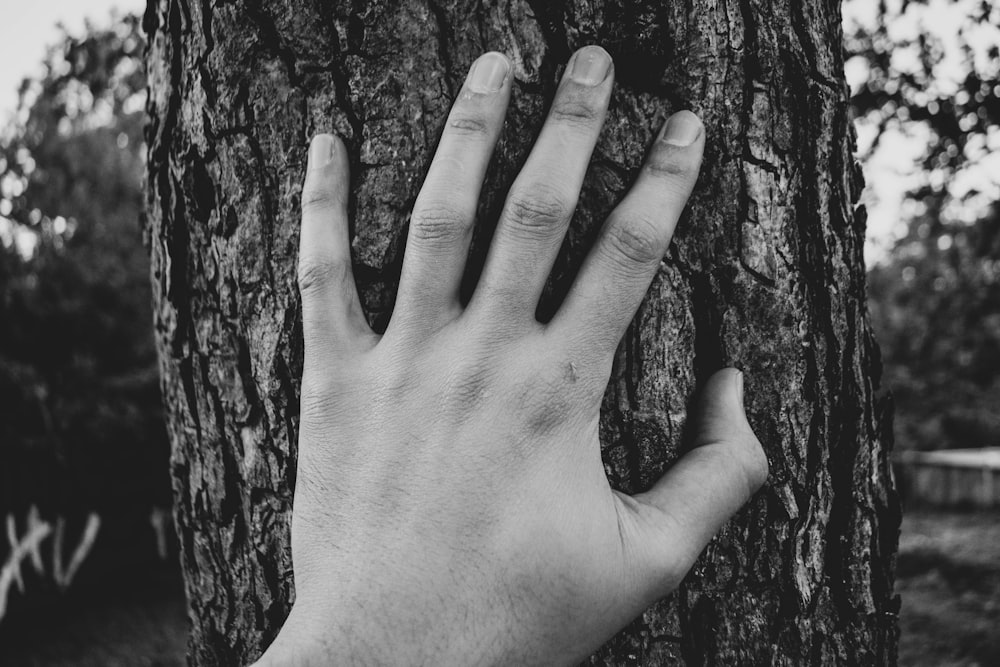 grayscale photo of left human hand