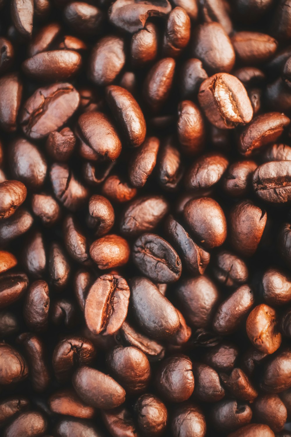 brown coffee beans in close up photography