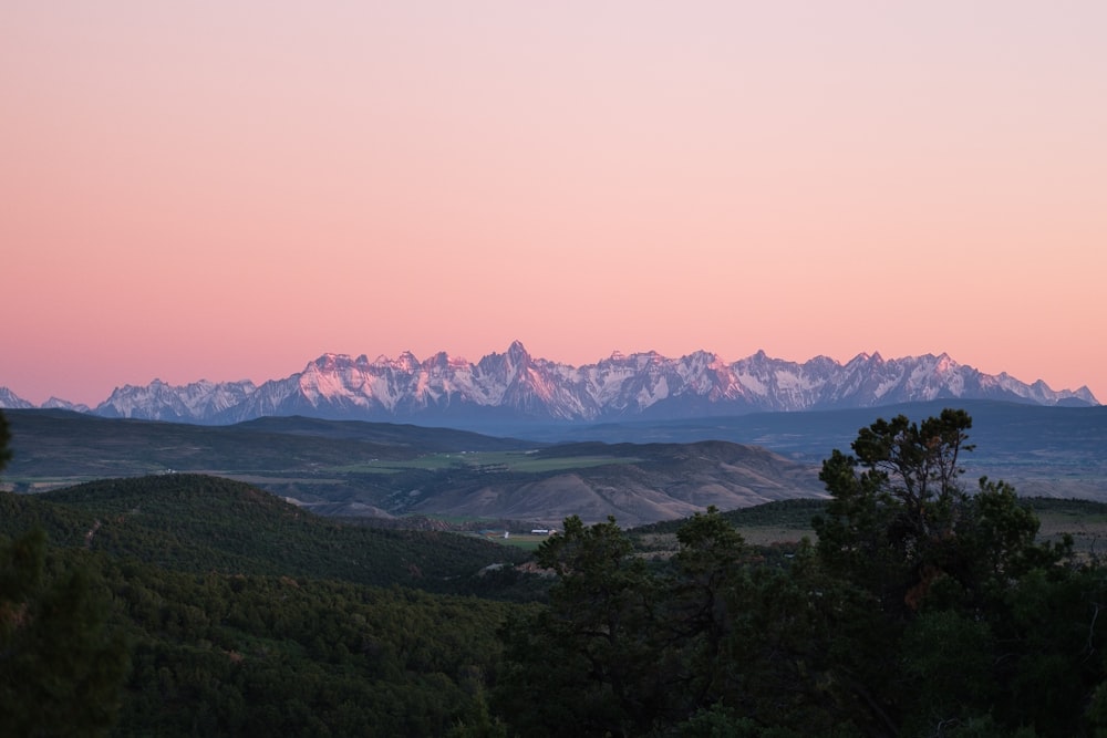 green trees and mountains during daytime