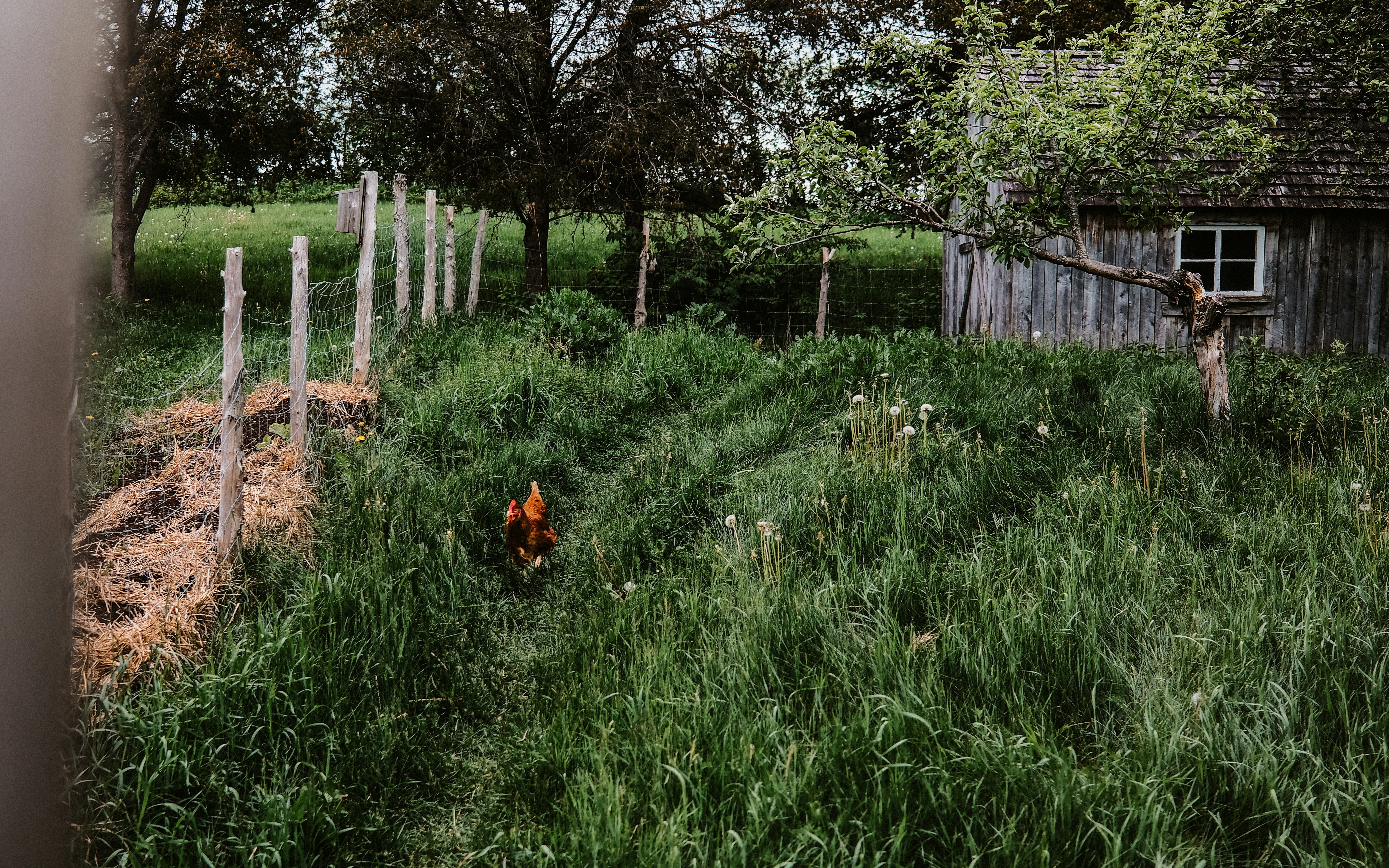 Permaculture Projects: How to Start a Sustainable Garden in Your Community