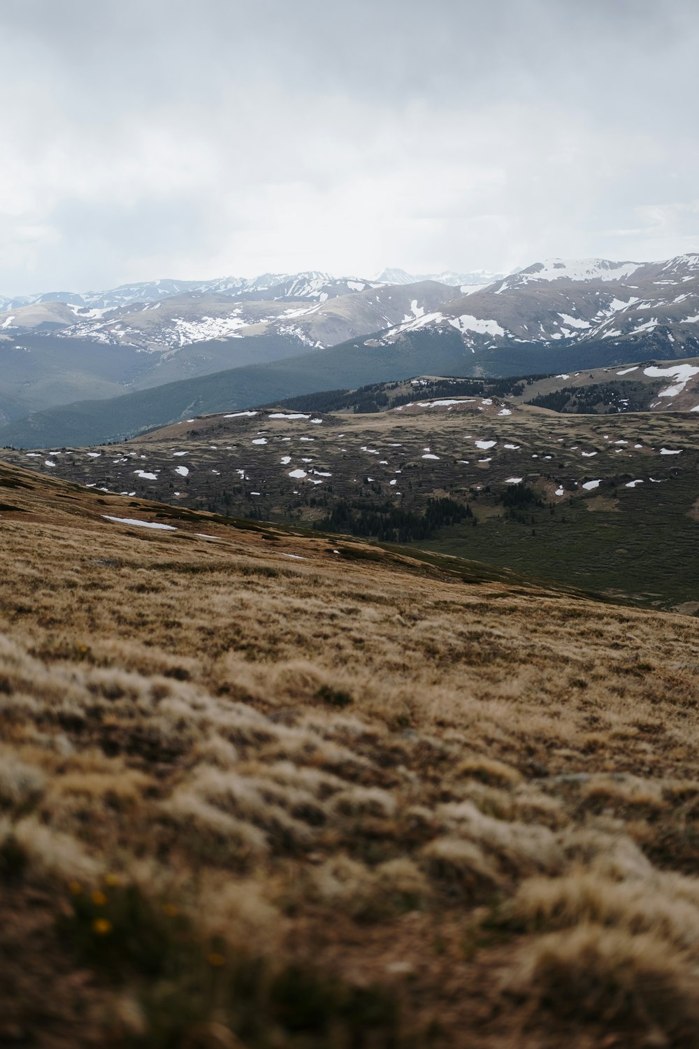 Grünes Grasfeld in der Nähe schneebedeckter Berge tagsüber