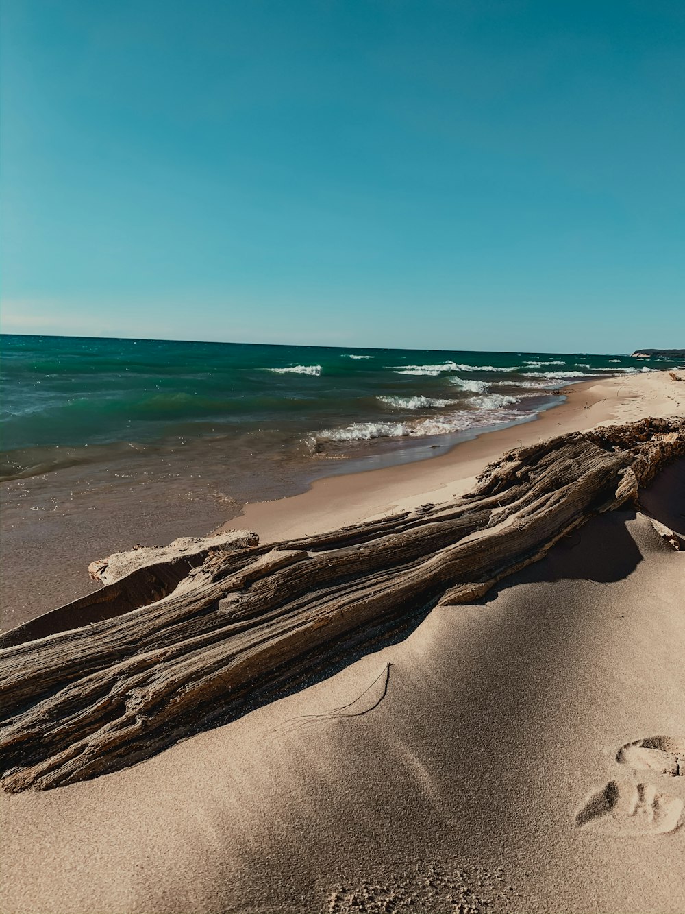 brown sand beach during daytime
