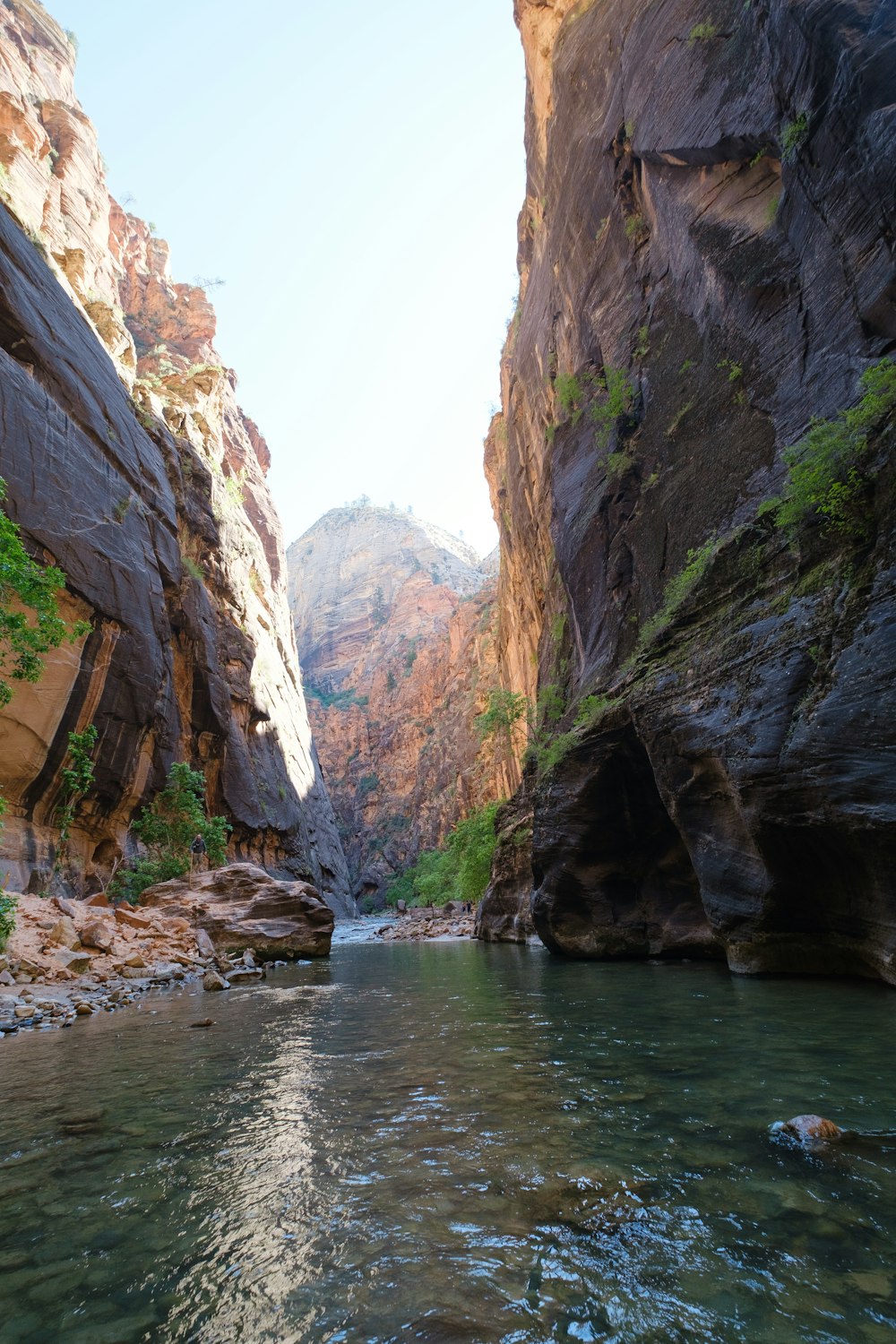 river between rocky mountains during daytime