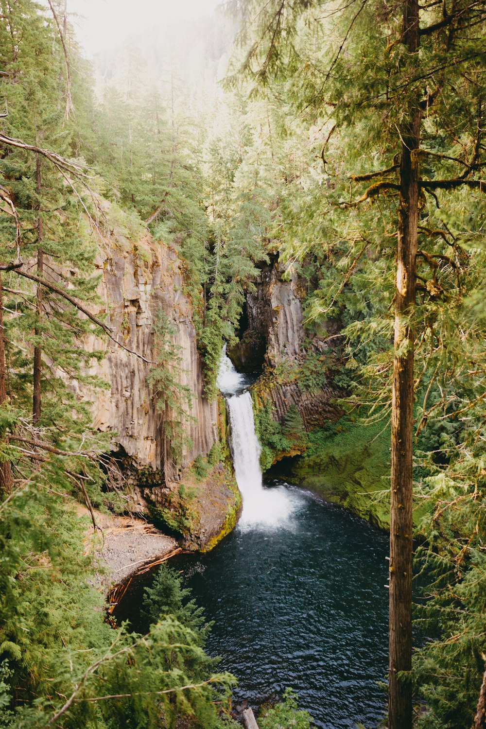 waterfalls in the middle of the forest