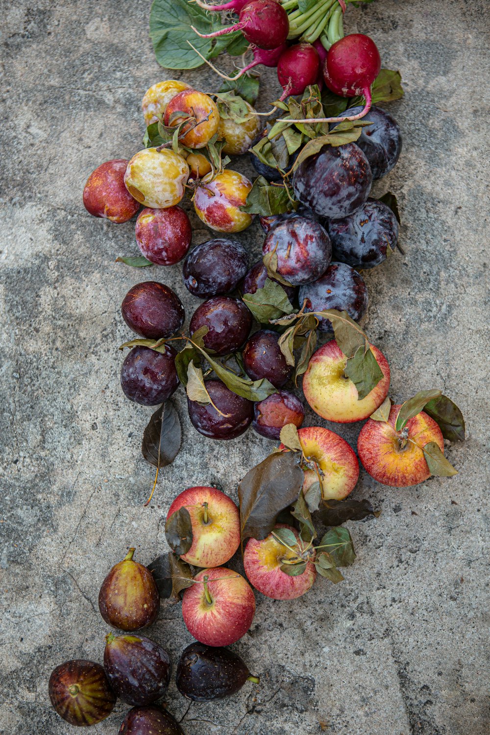 red and yellow apple fruits on gray concrete floor