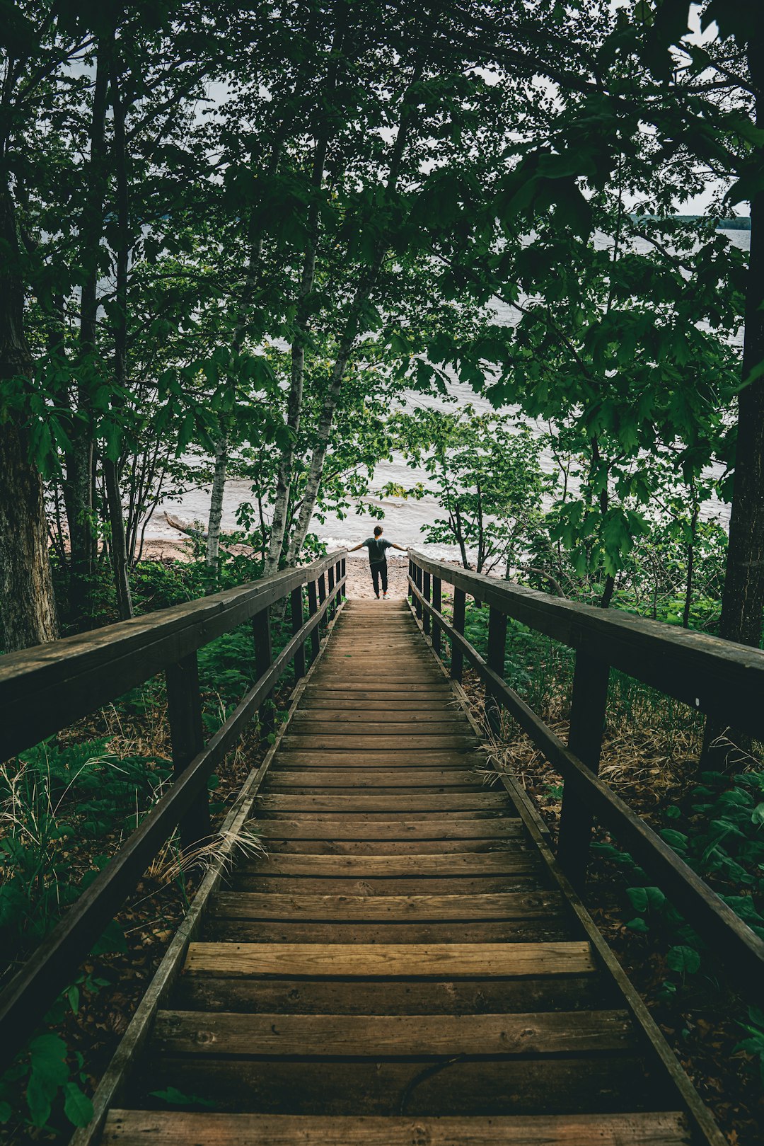 brown wooden bridge in the woods