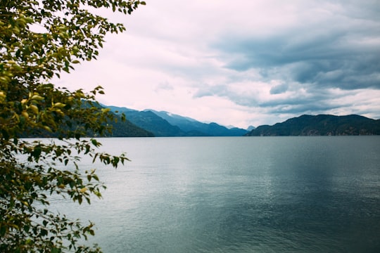 green trees near body of water under cloudy sky during daytime in Harrison Lake Canada